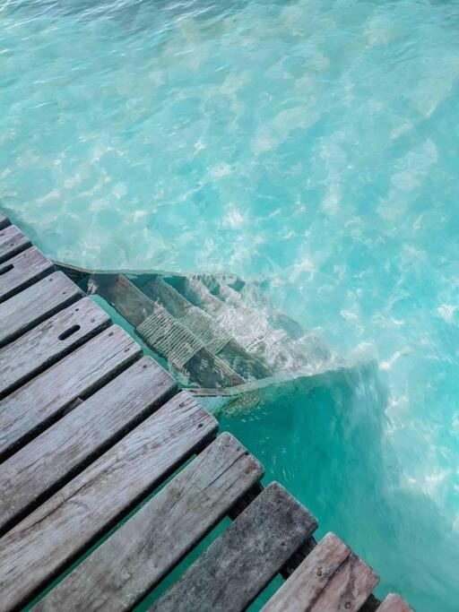 Vacation Home Blue Lotus Caye Caulker Exterior photo