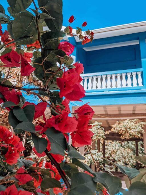 Vacation Home Blue Lotus Caye Caulker Exterior photo